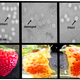 Polioviruses and a strawberry were mixed with a synthetic D. radiodurans manganese-decapeptide antioxidant before exposure to a sterilizing dose of gamma rays. The treated viruses and treated strawberry (right column) remained noticeably preserved compared to the untreated specimens (middle).